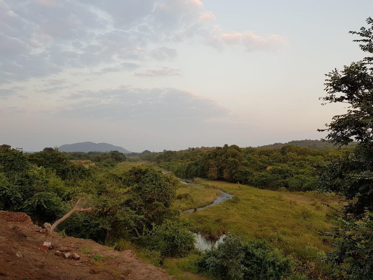 Hiran Holidays Sasan Gir Εξωτερικό φωτογραφία